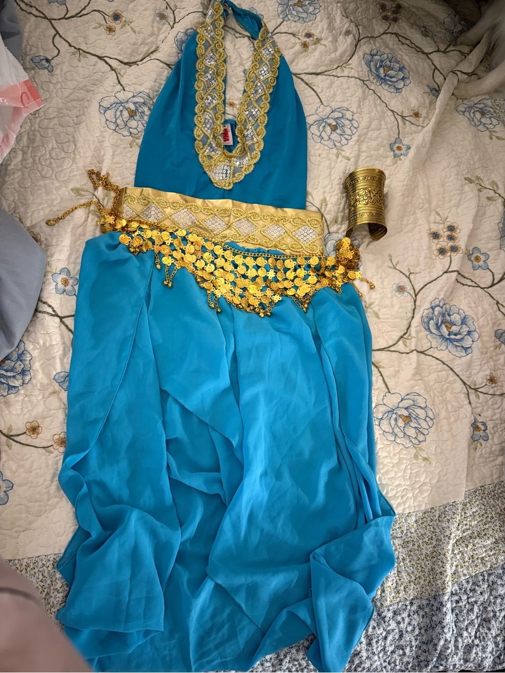 Beautiful princess Jasmine costume
